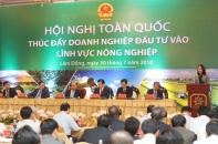 Chung sức đưa nông sản Việt vươn lên vị trí hàng đầu thế giới