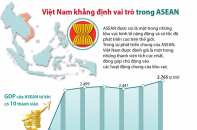 [Infographic] Việt Nam khẳng định vai trò trong ASEAN