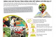 [Infographic] Nâng cao giá trị gia tăng nông sản Việt bằng chỉ dẫn địa lý