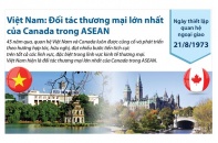 [Infographic] Việt Nam là đối tác thương mại lớn nhất của Canada trong ASEAN 