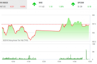 Phiên 24/8: VN-Index chấm dứt chuỗi tăng điểm sau 6 phiên liên tiếp