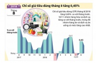 [Infographic] Chỉ số giá tiêu dùng tháng 8 tăng 0,45% 