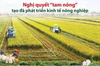 [Infographic] Nghị quyết “tam nông” tạo đà phát triển kinh tế nông nghiệp