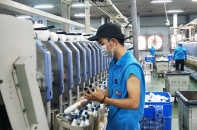 Cả nước hiện có 10.100 doanh nghiệp lớn