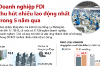 [Infographic] Doanh nghiệp FDI thu hút nhiều lao động nhất trong 5 năm qua