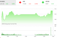 Phiên 24/9: VN-Index vẫn đủ sức vượt 1.010 điểm dù dòng bank điều chỉnh