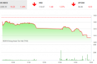Phiên 5/10: Hàng trăm mã giảm sâu, VN-Index lùi xuống dưới ngưỡng 1.010 điểm