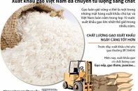 [Infographic] Xuất khẩu gạo Việt Nam đã chuyển từ lượng sang chất