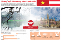 [Infographic] Quan hệ Việt Nam - Áo: Thương mại, đầu tư đang trên đà phát triển