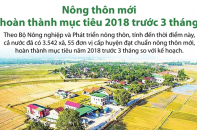 [Infographic] Nông thôn mới hoàn thành mục tiêu 2018