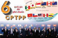 [Infographic] 6 quốc gia đã phê chuẩn CPTPP