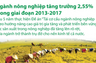 [Infographic] Ngành nông nghiệp tăng trưởng 2,55% trong giai đoạn 2013-2017