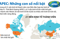 [Infographic] APEC: Những con số nổi bật