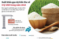 [Infographic] Xuất khẩu gạo dự kiến thu về 3 tỷ USD trong năm 2018