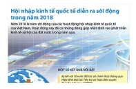 [Infographic] Hội nhập kinh tế quốc tế diễn ra sôi động trong năm 2018