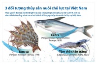 [Infographic] 3 đối tượng thủy sản nuôi chủ lực tại Việt Nam
