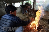 Dự báo thời tiết hôm nay 31/12: Miền Bắc chìm trong giá lạnh, miền Nam có mưa rào và dông