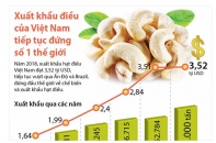 [Infographic] Xuất khẩu hạt điều của Việt Nam tiếp tục đứng số 1 thế giới