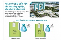 [Infographic] Hơn 8,3 tỷ USD vốn FDI vào khu công nghiệp, khu kinh tế năm 2018