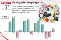 [Infographic] Chỉ số giá tiêu dùng tháng 1/2019 tăng 0,1%
