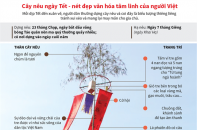 [Infographic] Cây nêu ngày Tết - nét đẹp văn hóa của người Việt