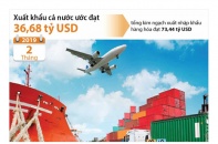[Infographic] 2 tháng năm 2019, xuất khẩu cả nước ước đạt 36,68 tỷ USD