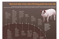 [Infographic] Quá trình dịch tả lợn châu Phi bùng phát trên toàn cầu 