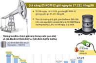 [Infographic] Xăng E5 RON 92 đứng giá 17.211 đồng/lít