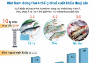 [Infographic] Việt Nam đứng thứ 4 thế giới về xuất khẩu thuỷ sản