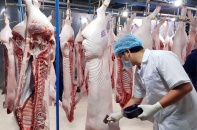 MM Mega Market Việt Nam tăng cường kiểm soát chất lượng thịt heo
