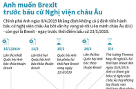 [Infographic] Anh muốn Brexit trước bầu cử Nghị viện châu Âu