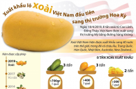 [Infographic] Xuất khẩu lô xoài Việt Nam đầu tiên sang thị trường Hoa Kỳ