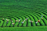 4 cổ phiếu cần quan tâm ngày 24/4