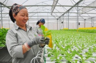 Coi doanh nghiệp và người dân là trung tâm của hội nhập