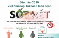 [Infographic] Đến năm 2030, Việt Nam loại trừ hoàn toàn bệnh sốt rét