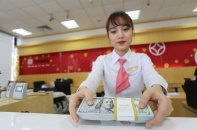Thị trường ngoại hối sẽ ổn định đến hết quý II