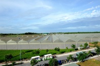 4 tháng, TP.HCM có 13.094 doanh nghiệp thành lập mới