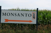 Monsanto dính bê bối truyền thông về quan điểm với thuốc trừ sâu và cây trồng biến đổi gene