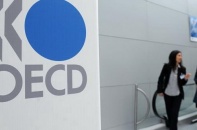 OECD hạ dự báo tăng trưởng toàn cầu năm 2019 xuống còn 3,2%