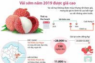 [Infographic] Vải thiều đầu vụ năm 2019 được giá cao