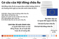 [Infographic] Cơ cấu của Hội đồng châu Âu (EC)