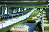 Tập đoàn Xuân Khiêm muốn rót 4.994 tỷ đồng đầu tư Nhà máy Xi măng Xuân Sơn tại Hòa Bình