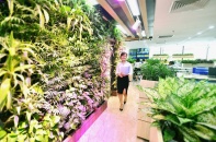 Sở hữu căn hộ officetel làm văn phòng: Những lợi thế ưu tiên