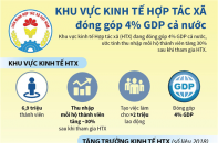 [Infographic] Khu vực kinh tế hợp tác xã đóng góp 4% GDP cả nước