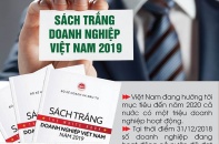 [Infographic] Những nội dung quan trọng của Sách trắng Doanh nghiệp Việt Nam 2019
