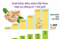 [Infographic] Xuất khẩu điều nhân Việt Nam tiếp tục đứng số 1 thế giới