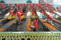 Làm sao để kim ngạch xuất khẩu nông, lâm, thuỷ sản sớm đạt 65 - 70 tỷ USD?