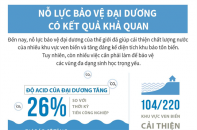 [Infographic] Nỗ lực bảo vệ đại dương có kết quả khả quan