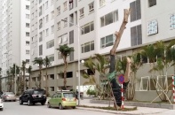 Nhà ở xanh nhưng giá phải rẻ: Bài toán khó lại thêm biến số