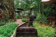 Ao cá trong vườn nhà!